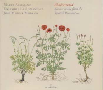 Album Various: Marta Almajano - Al Alva Venid