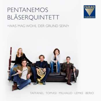 Album Various: Pentanemos Bläserquintett - "was Mag Wohl Der Grund Sein?"