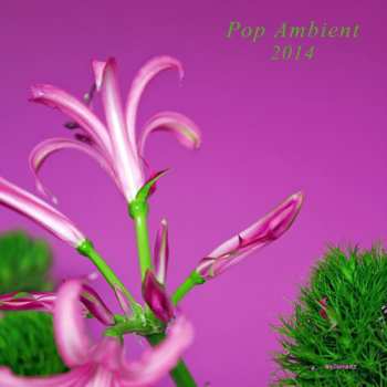 LP/CD Various: Pop Ambient 2014 653255