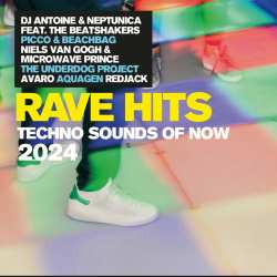 Album Various: Rave Hits: Techno Sounds Of Now 2024