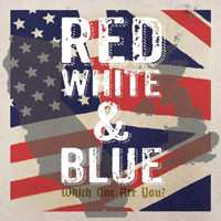 2SP Various: Red White & Blue - Which One Are You? CLR | LTD 593143