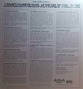 LP Various: Ryley Walker Presents... Imaginational Anthem Volume Nine 603640