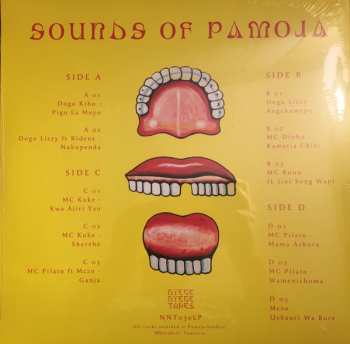 2LP Various: Sounds Of Pamoja 588345