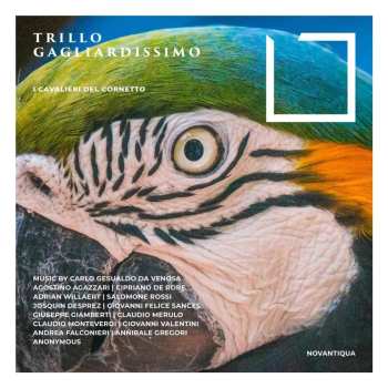 CD Various: Trillo Gagliardissimo (musik Für Cornett) 650243