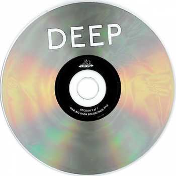 2CD Various: Well Deep (Ten Years Of Big Dada Recordings) 309996