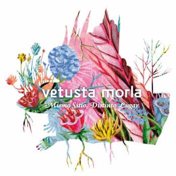 CD Vetusta Morla: Mismo Sitio, Distinto Lugar 650795