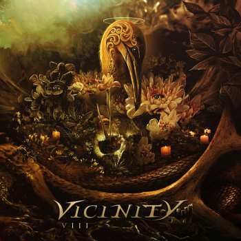 Album Vicinity: VIII