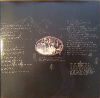 LP Vivian Girls: Share The Joy CLR | LTD 564726