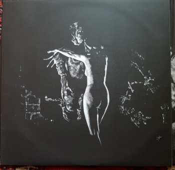 LP/CD Vortex: Häxan LTD 586279