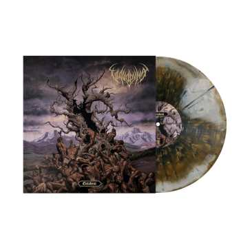 LP Vulvodynia: Entabeni Ltd. 550250