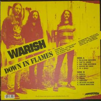 LP Warish: Down In Flames 584032