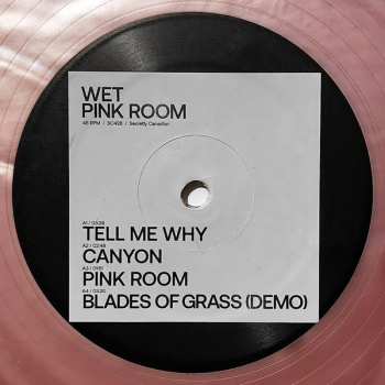 LP Wet: Pink Room CLR 545783