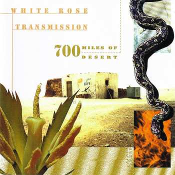 Album White Rose Transmission: 700 Miles Of Desert