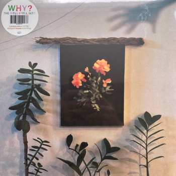 Album Why?: The Well I Fell Into