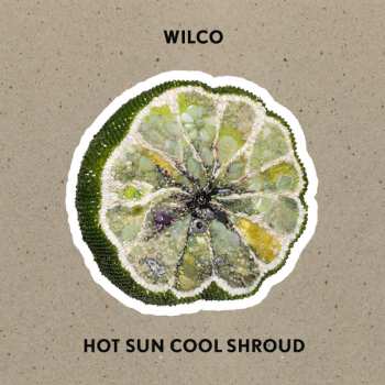 Album Wilco: Hot Sun Cool Shroud