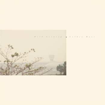 Album Wild Nothing: Golden Haze