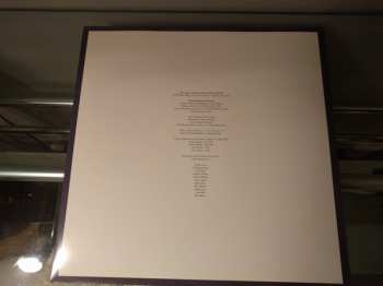 LP Wild Nothing: Nocturne 597736