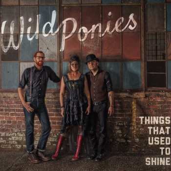 Album Wild Ponies: Things That Used To Shine