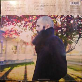 LP William Fitzsimmons: Gold In The Shadow 570053