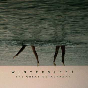 CD Wintersleep: The Great Detachment 451396