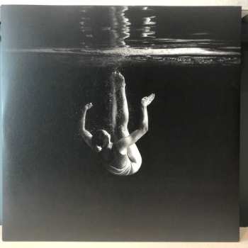 LP Wintersleep: The Great Detachment 329255