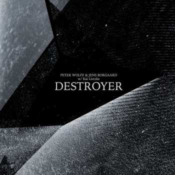 Album Wolff, Peter & Borgaard, Jens W: Destroyer