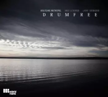 Larry Grenadier: Drumfree