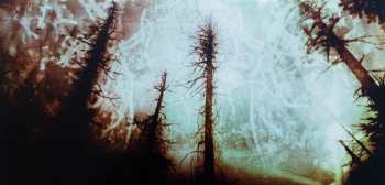 2LP Wolves In The Throne Room: Celestial Lineage 87435