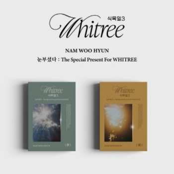 Album Woo Hyun Nam: Special Present For Whitree