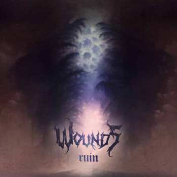 CD Wounds: Ruin 618154