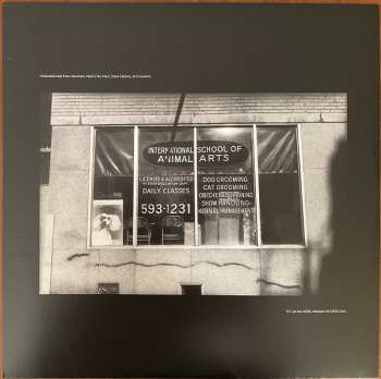 2LP Yo La Tengo: This Stupid World CLR | LTD 551132