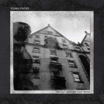 LP Young Statues: The Flatlands Are Your Friend CLR 569520