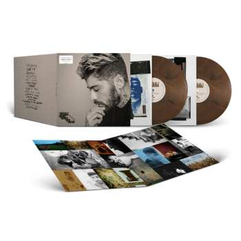 2LP ZAYN: Room Under the Stairs 642465